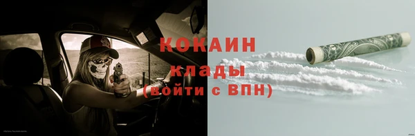 spice Богданович