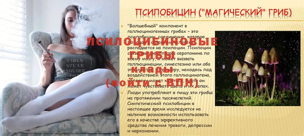 крисы Слюдянка