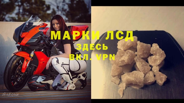 spice Богданович