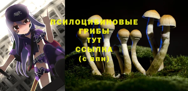 гашишное масло Богородицк