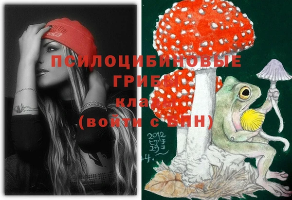 spice Богданович