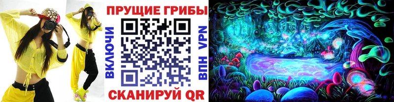 Галлюциногенные грибы Psilocybe omg онион дарк нет телеграм Мценск